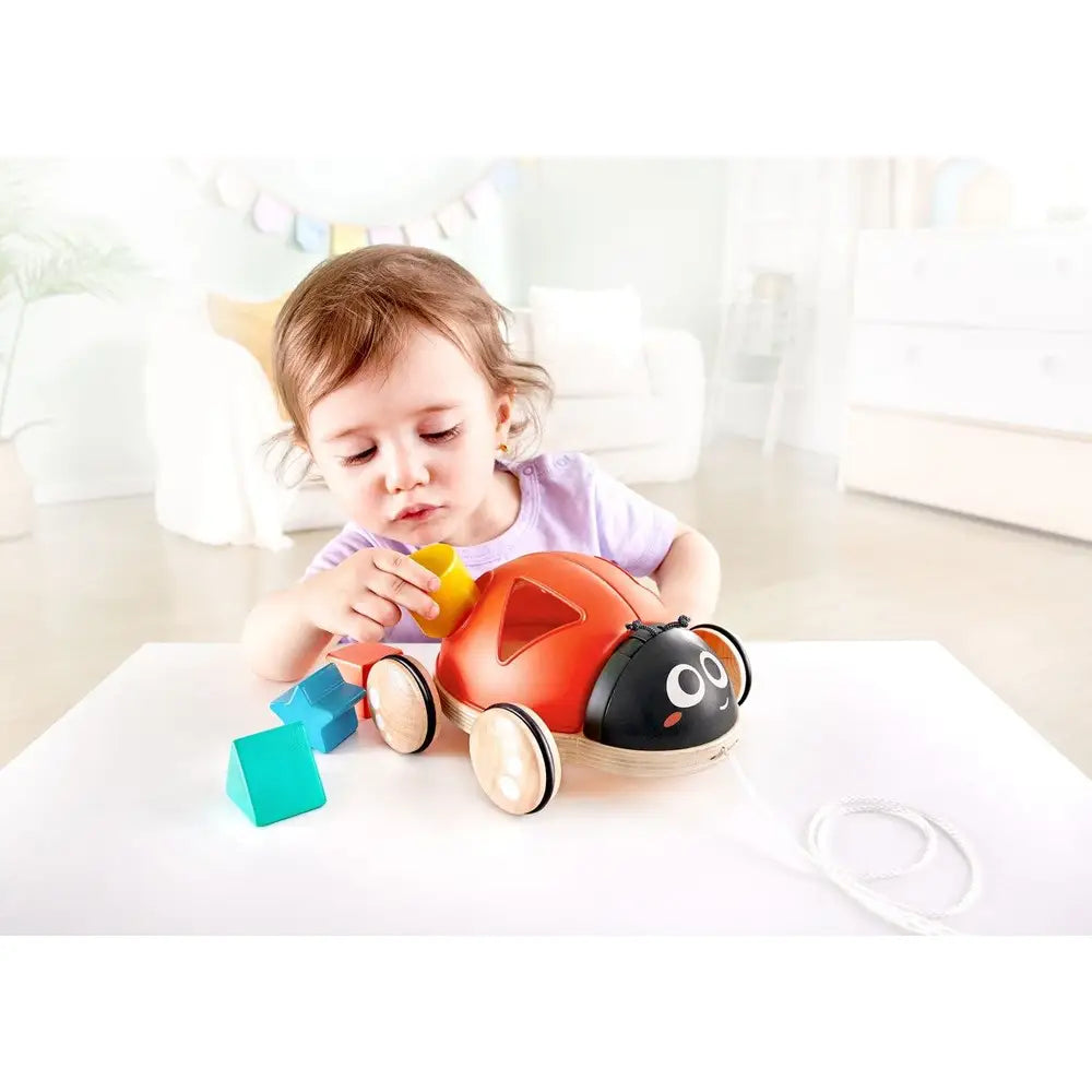 Hape Shape Sorter Ladybug