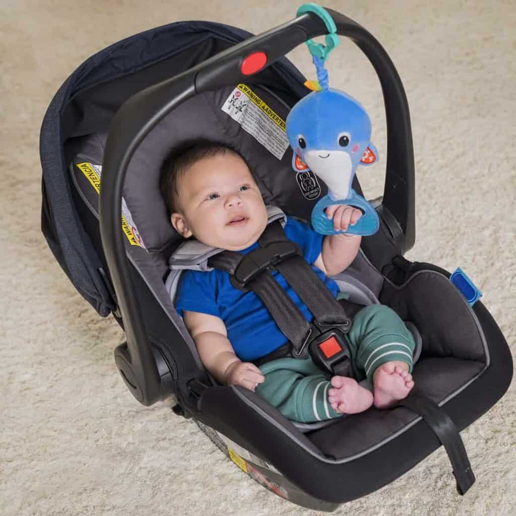 Whale-a-roo™ pull & shake aktivitets - hval