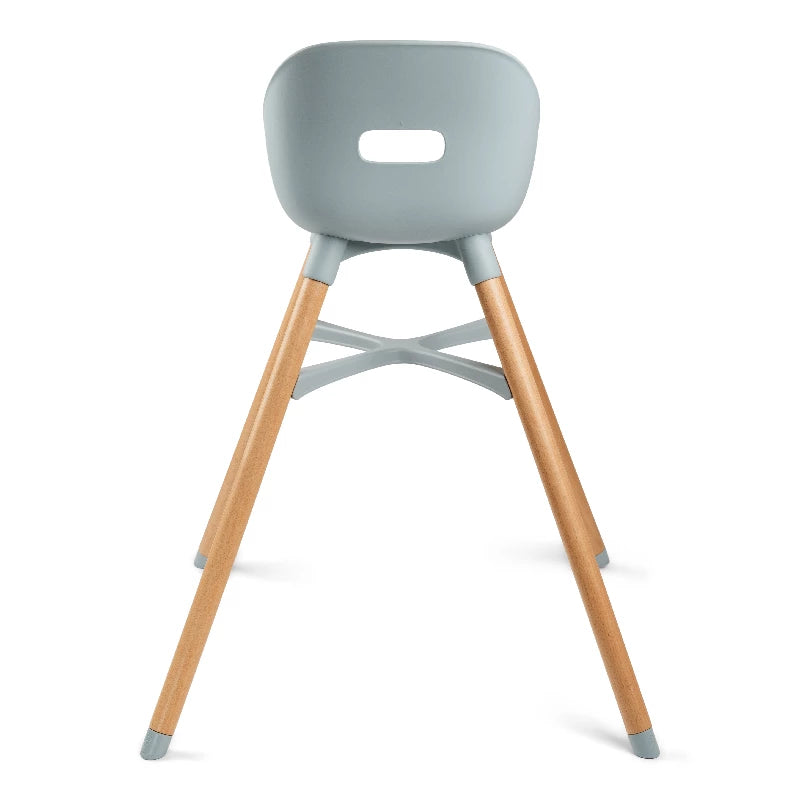 Ziza Højstol - Misty