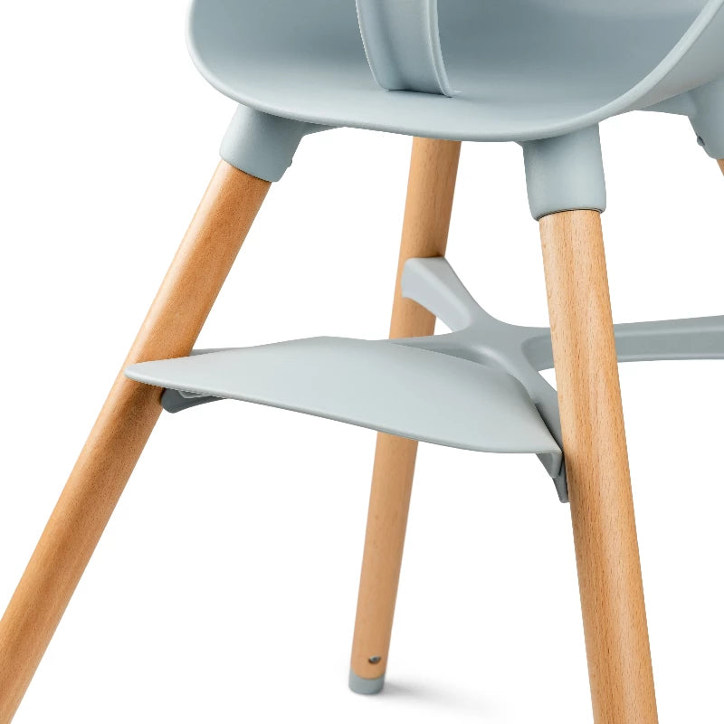 Ziza Højstol - Misty