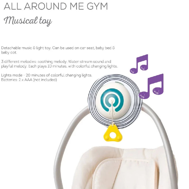 TAF All around me gym