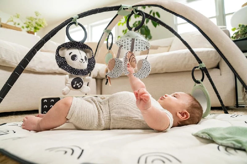 Tiny Love Classic Gymini Black & White decor