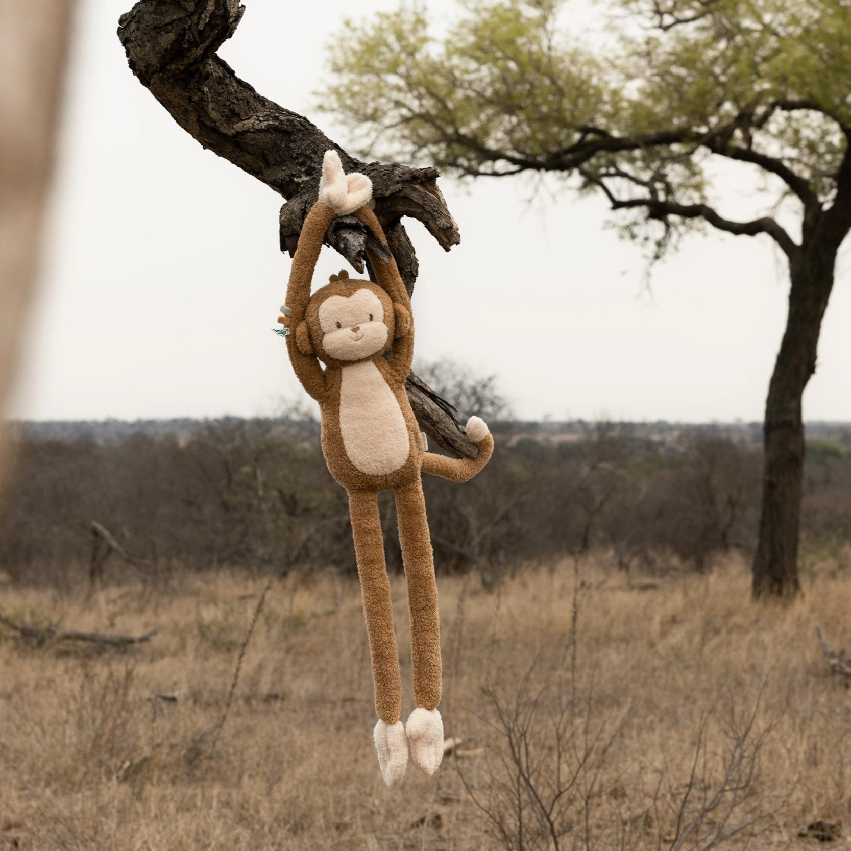 Little Dutch - Safari Friends