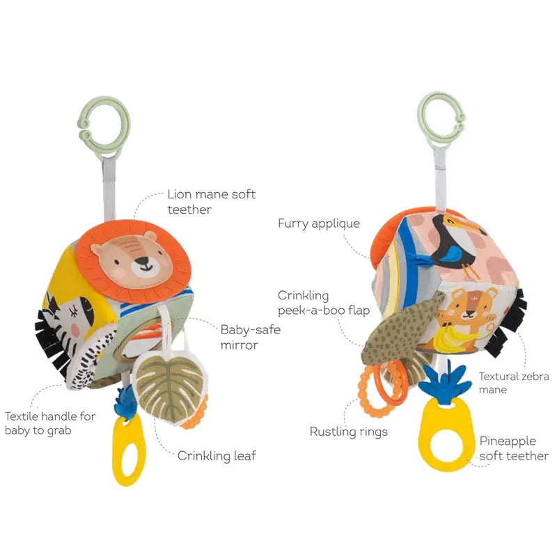 Taf Savannah discovery cube