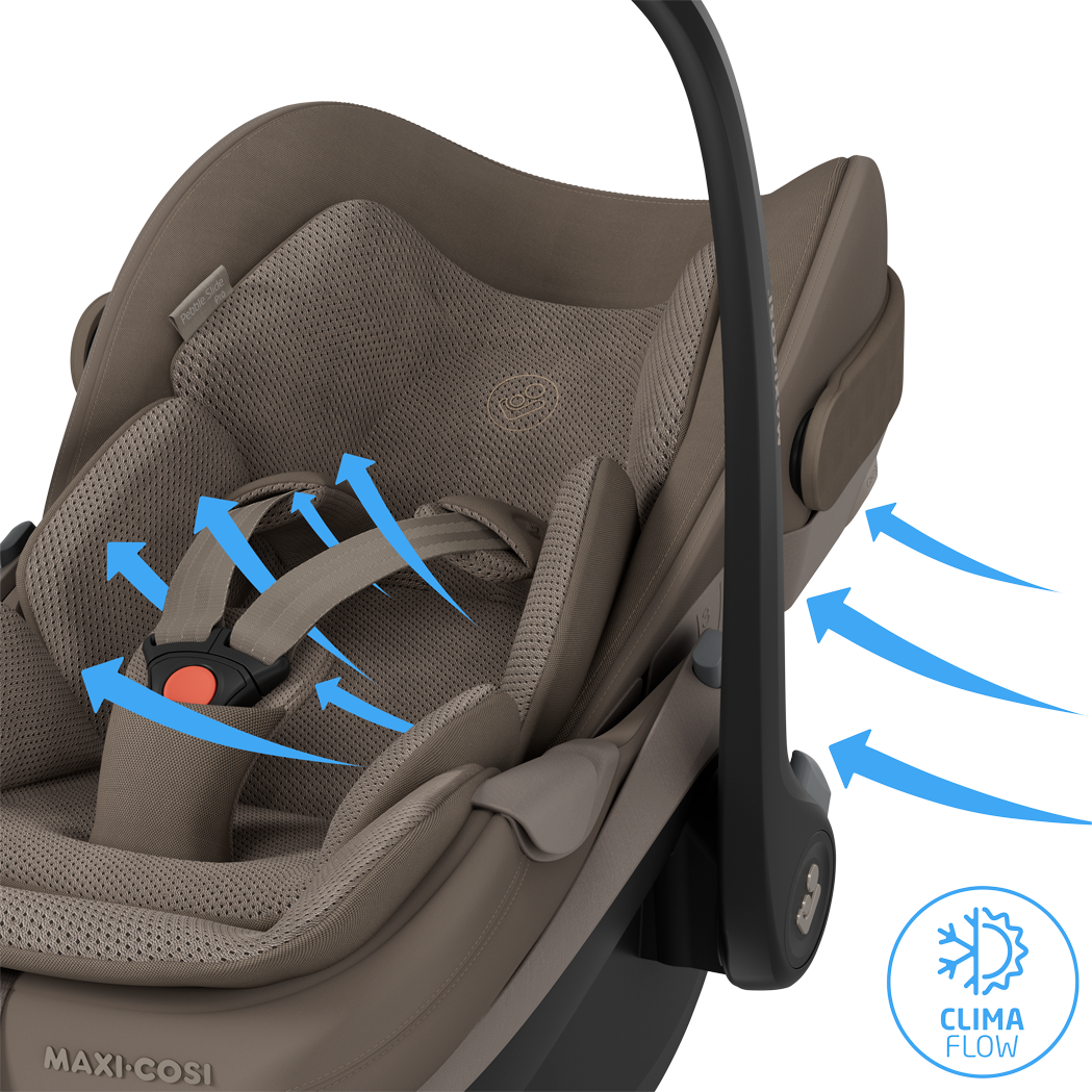 Maxi-Cosi Pebble Slide Pro - Oak Truffel