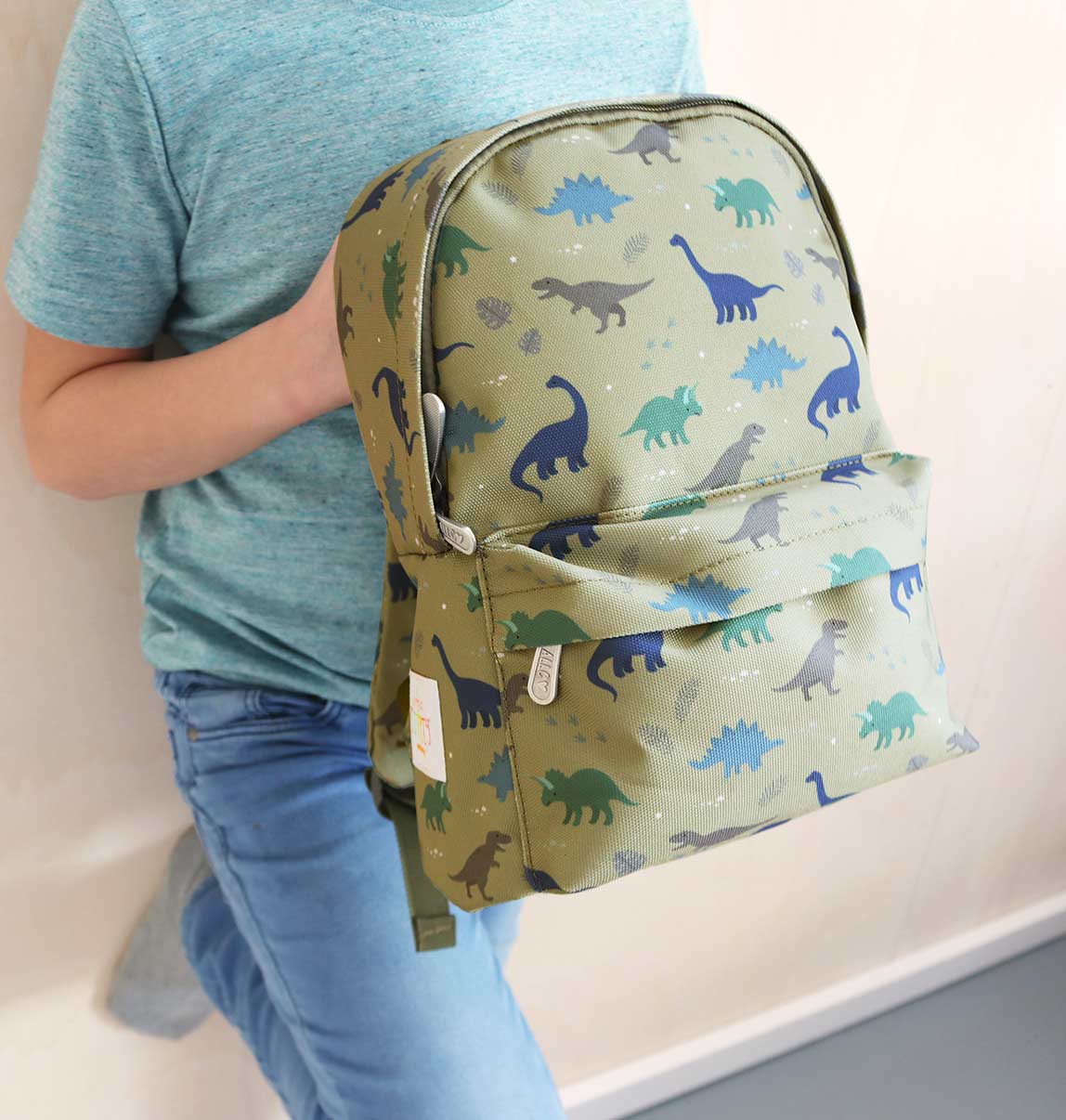 Little backpack: Dinosaurs