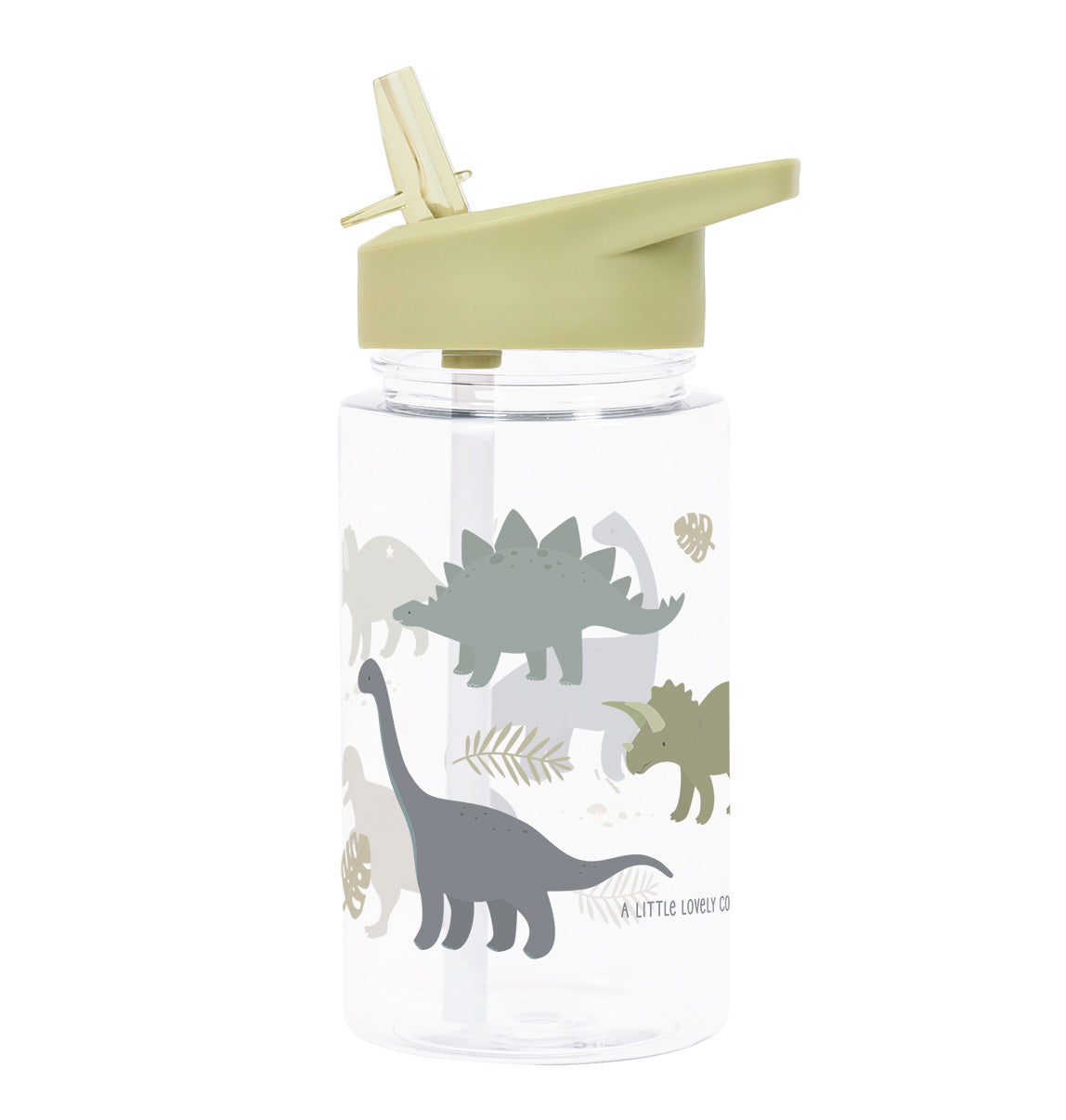 Drink bottle - Dinosaurs