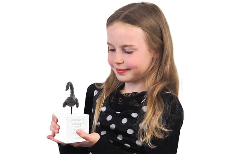 Kids by Friis Stjernetegn - skorpionen