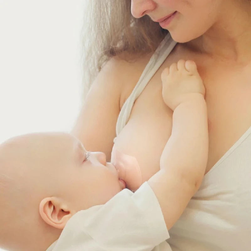 Haakaa Ammebrikker (L)