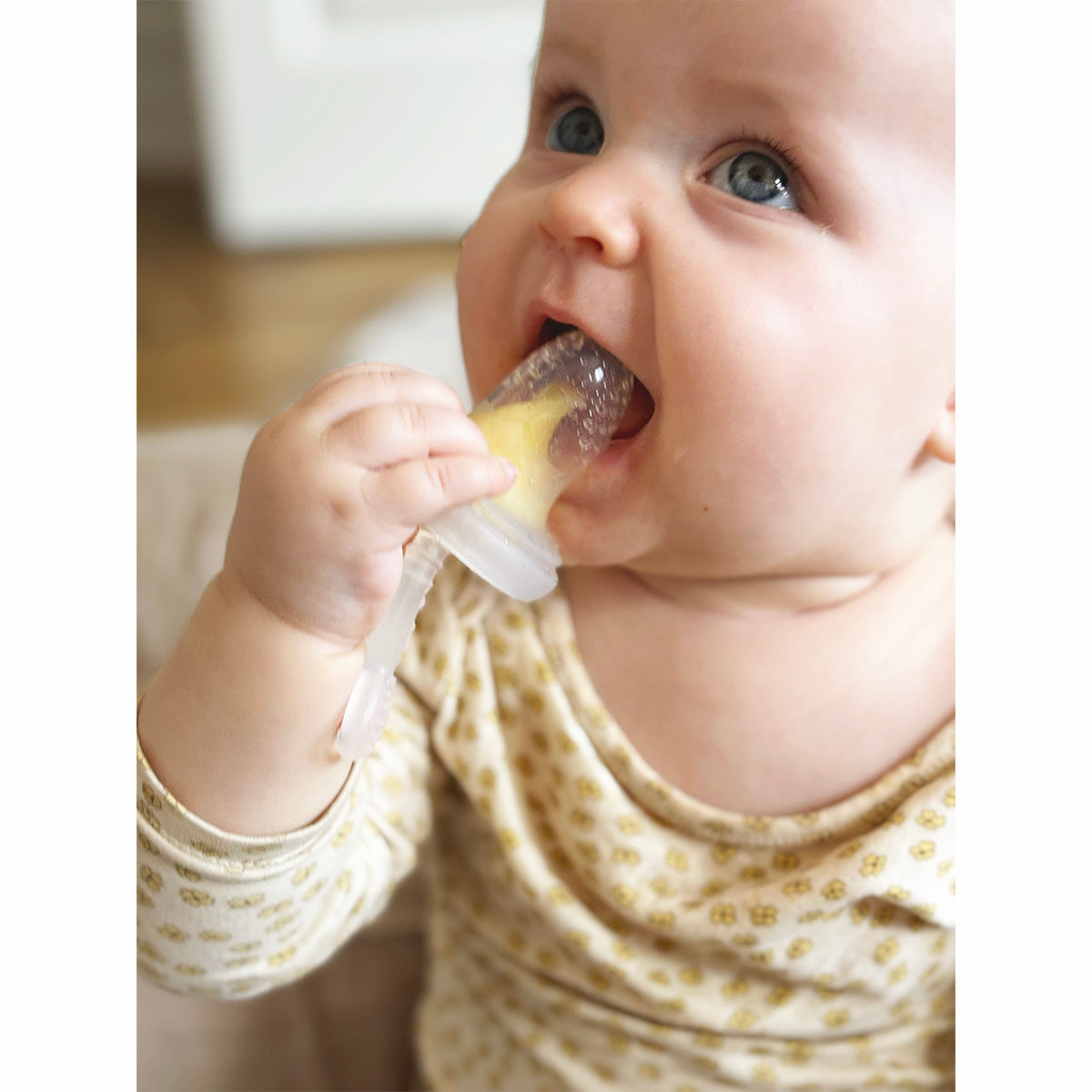 Frugtsut med mini fryseform - Rose