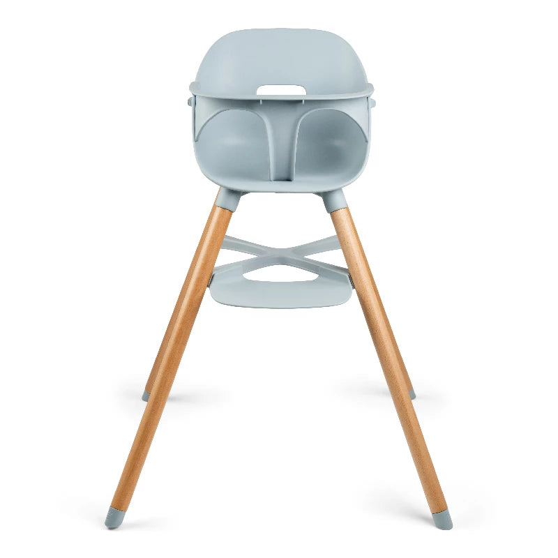 Ziza Højstol - Misty