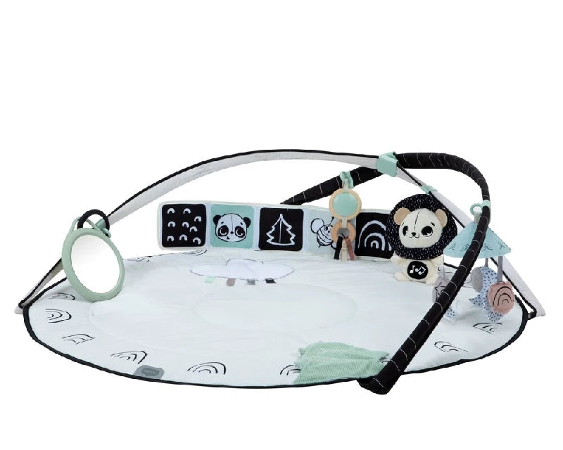 Tiny Love Classic Gymini Black & White decor